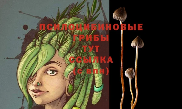 каннабис Заводоуковск