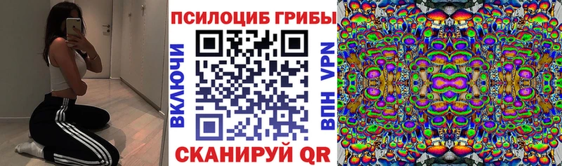 Псилоцибиновые грибы ЛСД  Купить  Котово 